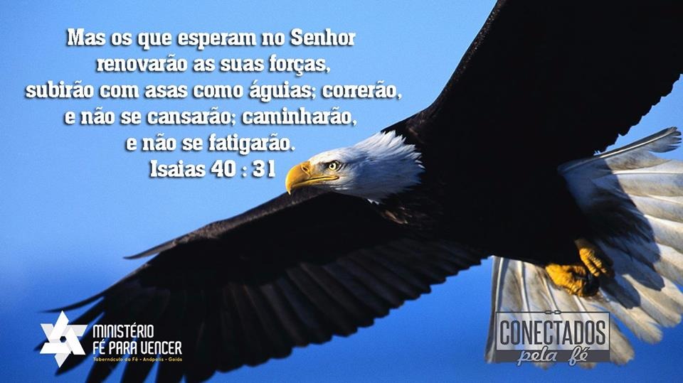 WhatsApp-Image-20160701